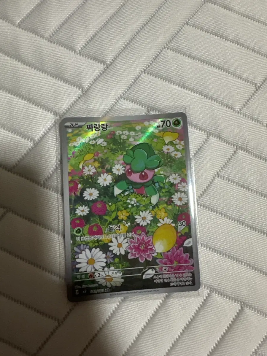 짜랑랑 ar