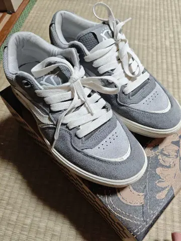 VANS Rowan 2 Frost Gray