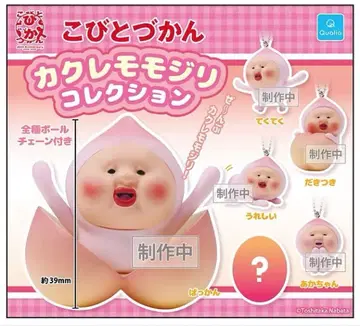 코비토즈칸 카쿠레모모지리 컬렉션 세미 컴프
