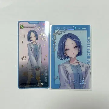 프로세카 키리타니 하루카 ZOZO 에피카 메모스테 금박