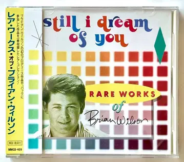 Brian Wilson 레어 웍스 오브 브라이언 윌슨 희귀반