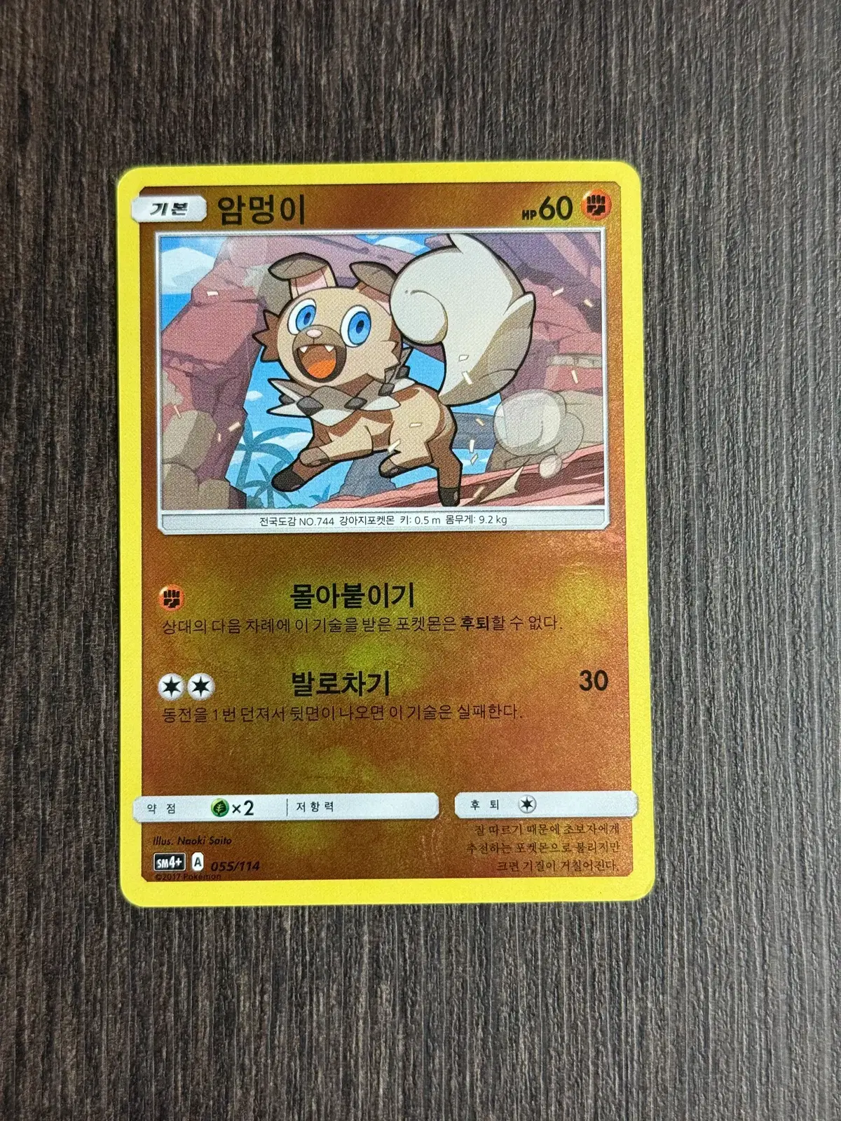 포켓몬카드 암멍이 판매 6