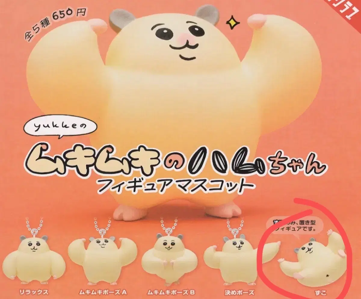 무키무키 햄짱 하무짱 근육 햄스터 가챠 피규어
