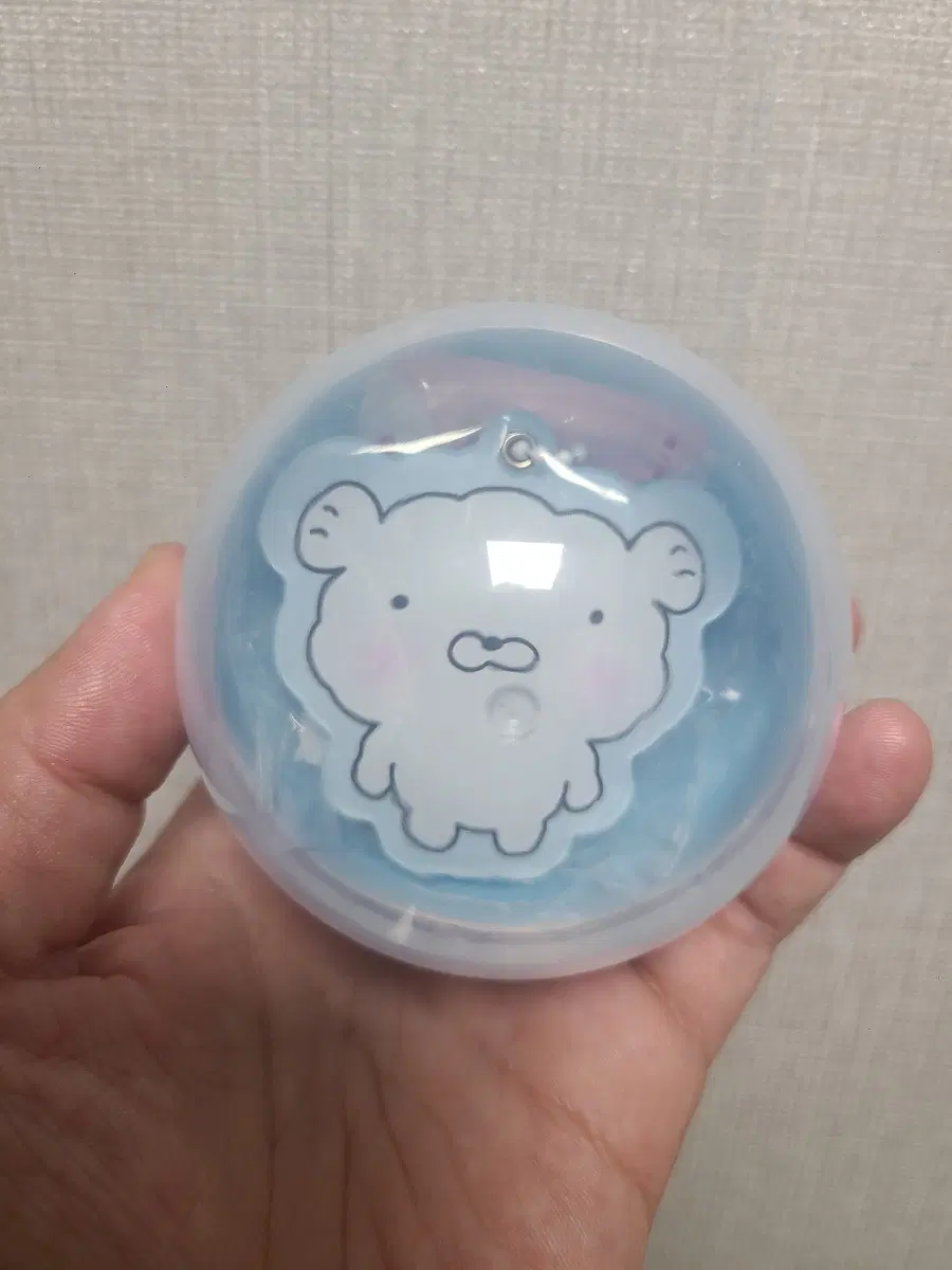 오늘의 귀여움 강사장 슬라이드미러 털찐이 팝니다.
