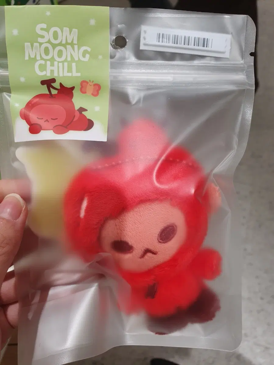 엔시티 인형 키링 체리짱