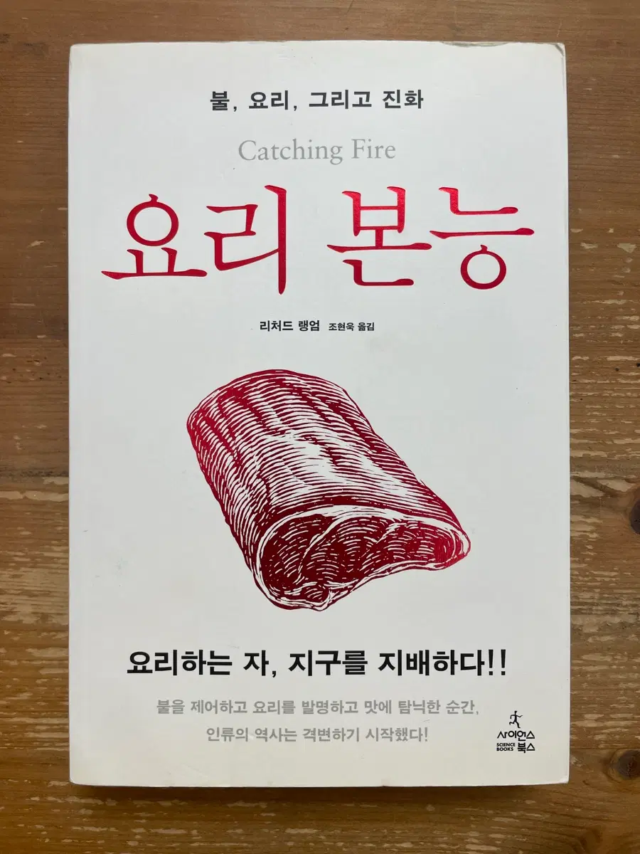 요리 본능 - 리처드 랭엄