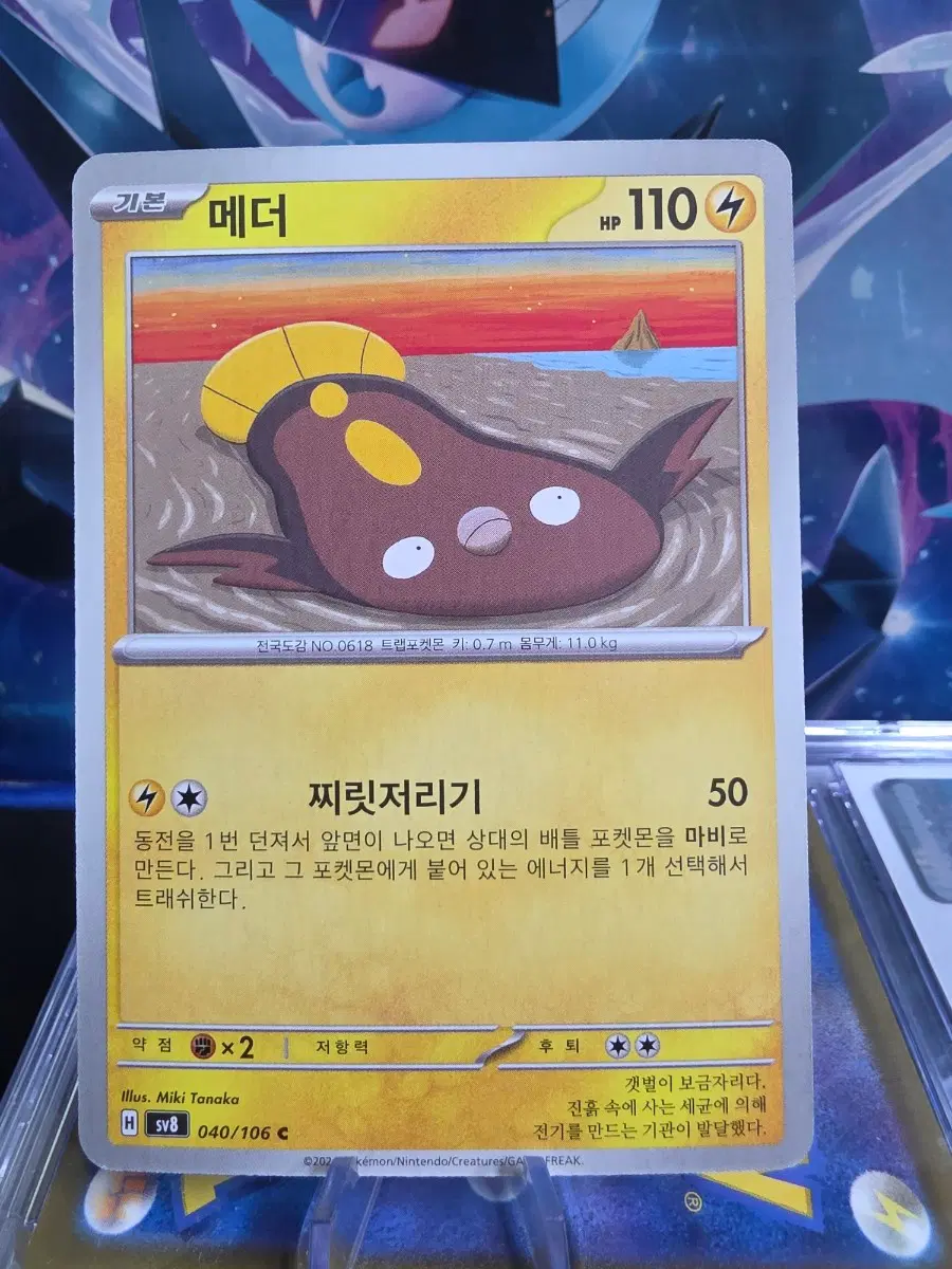 포켓몬카드 일반 메더