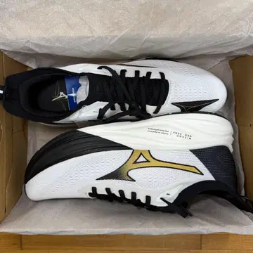 일본 미발매 사이즈 새상품 MIZUNO NEO ZEN 2 29.5cm