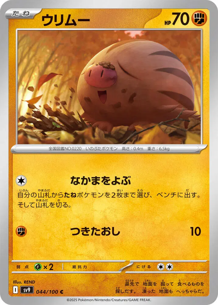 일판 꾸꾸리 sv9 044/100 C (300원)