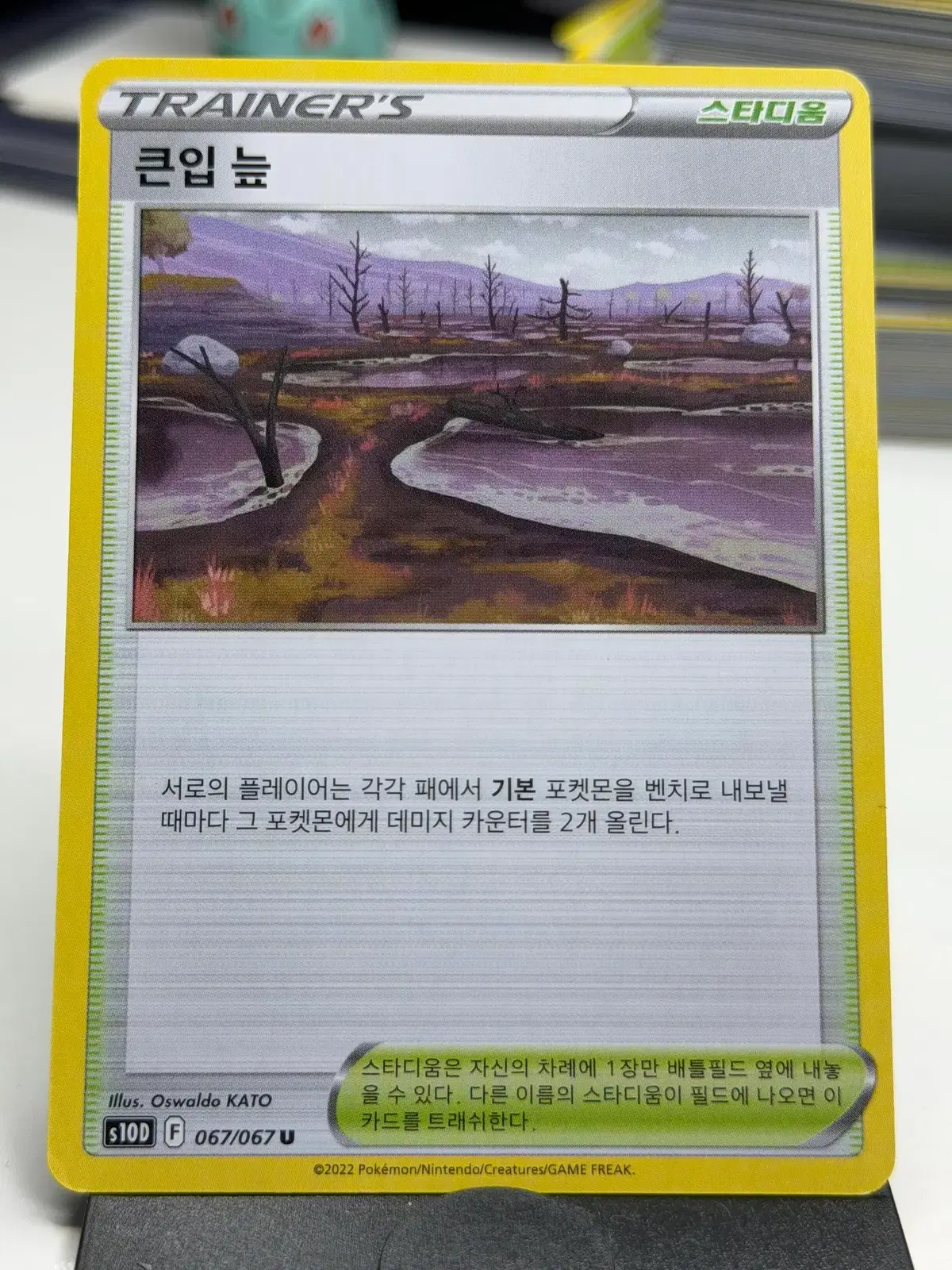 큰입 늪 s10D 067/067 U (500원)