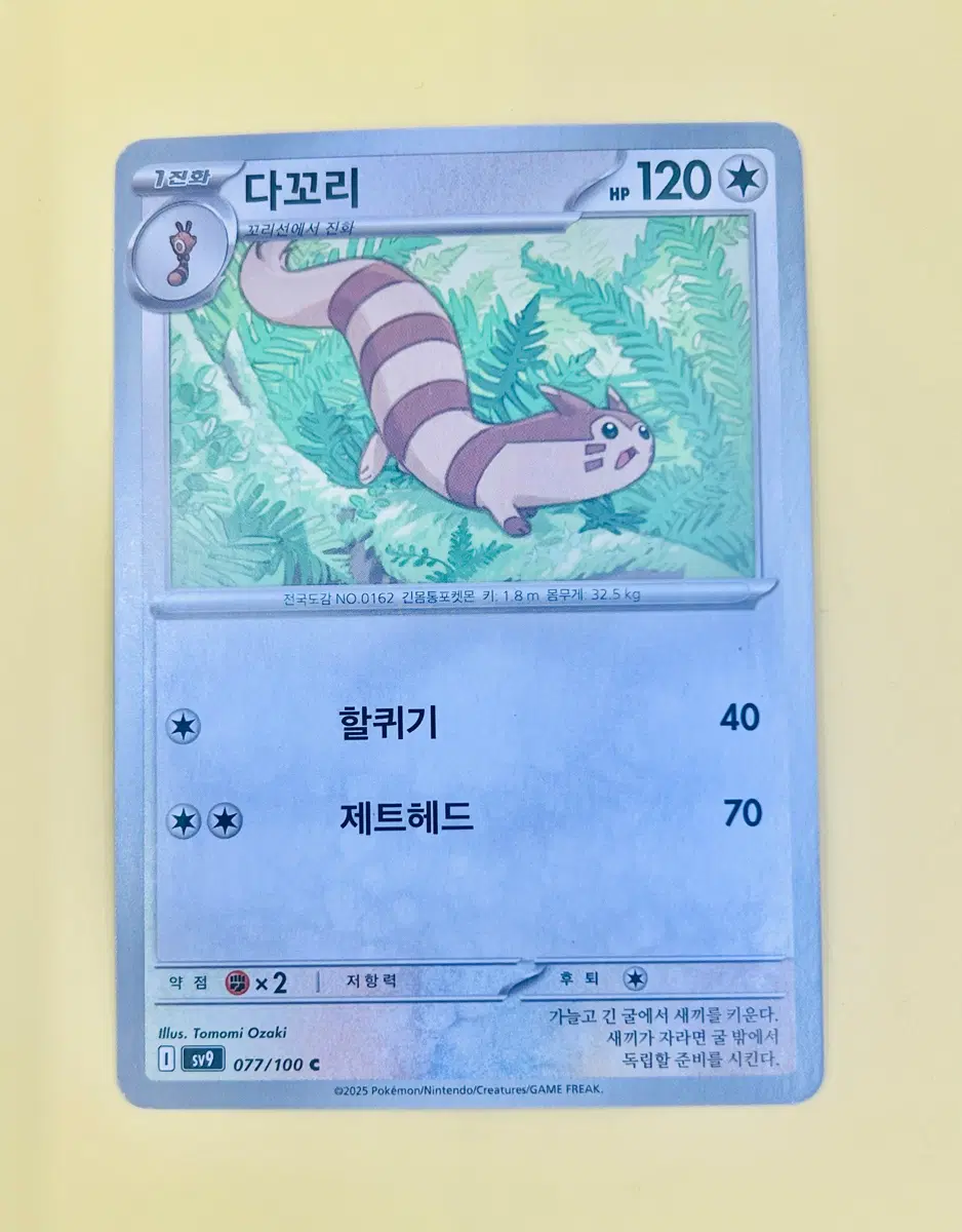 [포켓몬 카드] 다꼬리 (1진화, 꼬리선에서 진화)