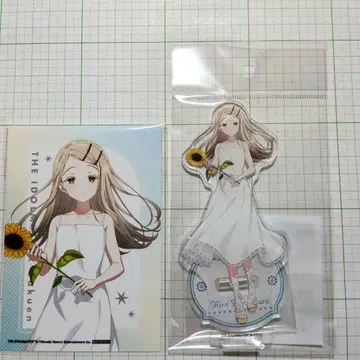 시노자와 히로 2세트 sunflower ver.