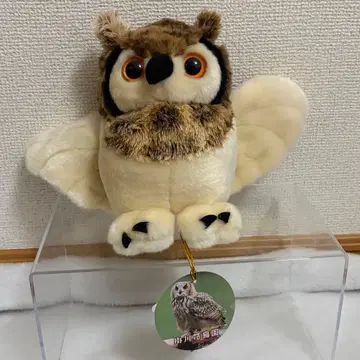 카케가와 화조원 올빼미 봉제 인형
