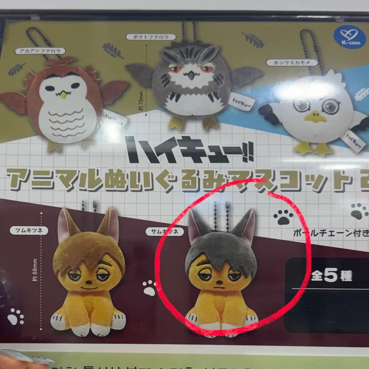 하이큐 애니멀 누이구루미 오사무