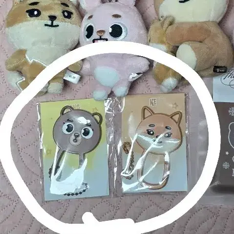 데이식스 더케이드 카라비너