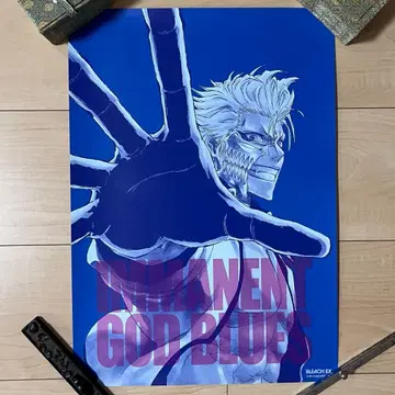 BLEACH EX. 그림죠 포스터