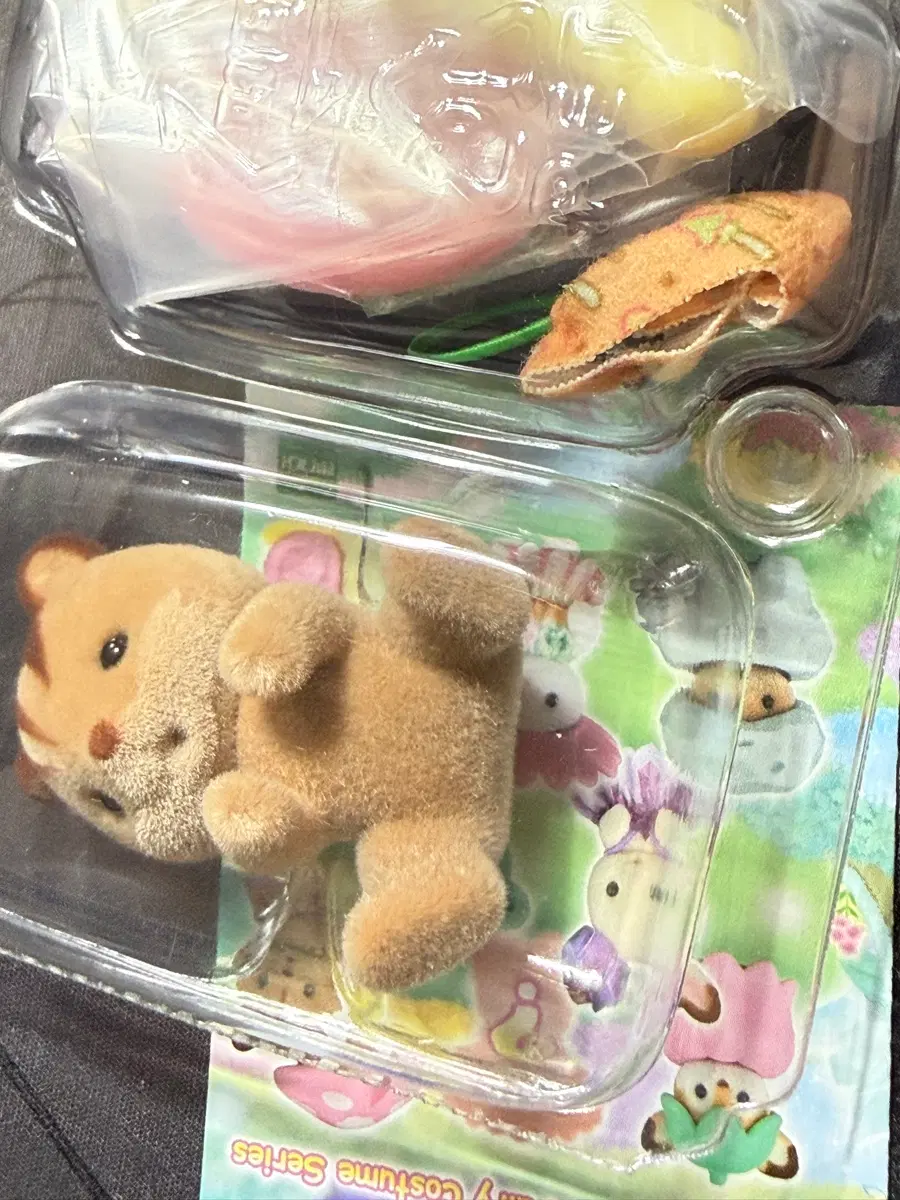 실바니안 블라인드백 다람쥐