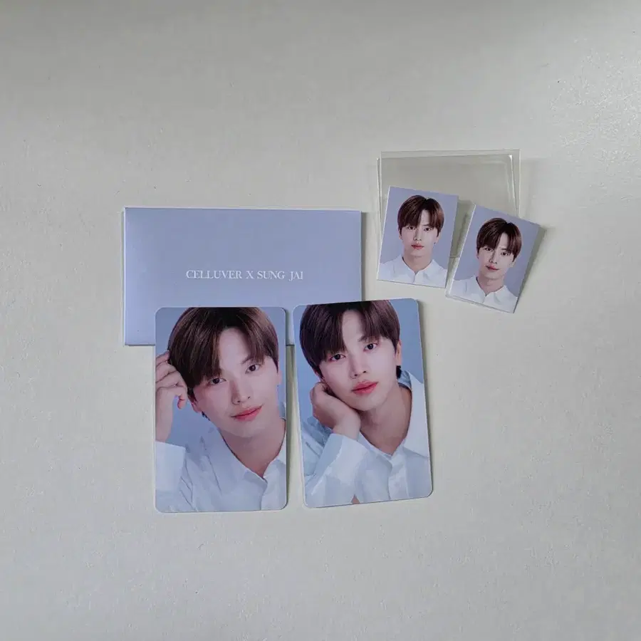 비투비 육성재 셀러버 포카+증명사진 일괄