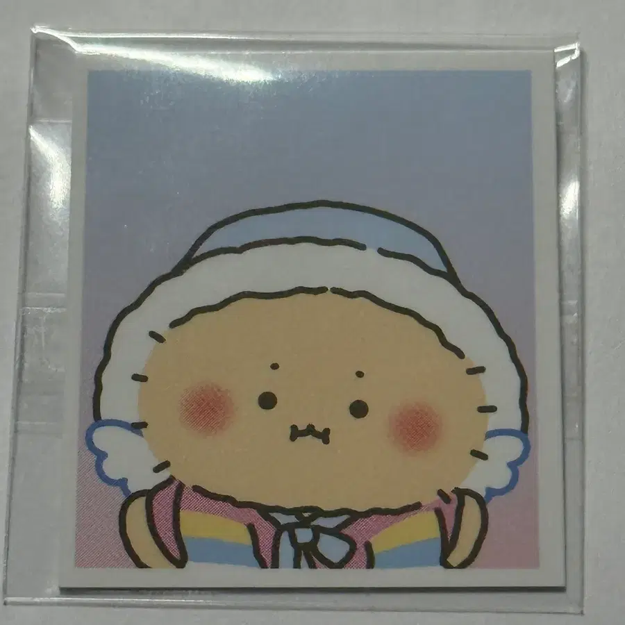 망그러진곰 망곰 올영 증사