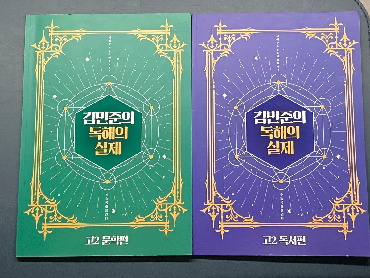 김민준의 독해의 실제 (독서+문학)