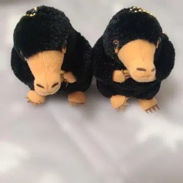 신비한 동물사전 니플러