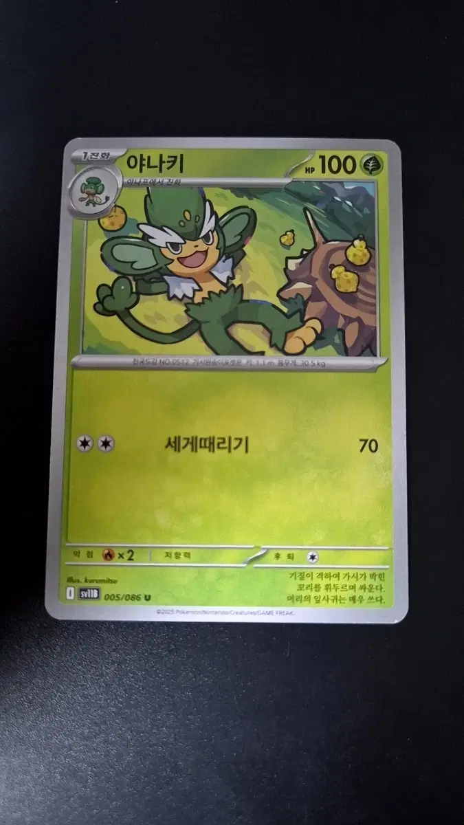 야나키 포켓몬 카드
