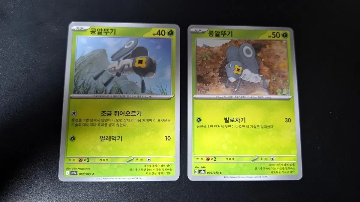 포켓몬 카드 콩알뚜기