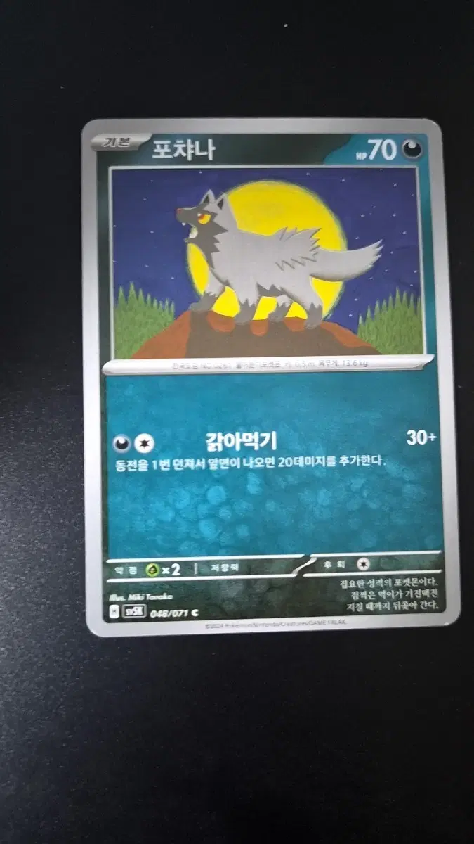 포켓몬 카드 포챠나 1