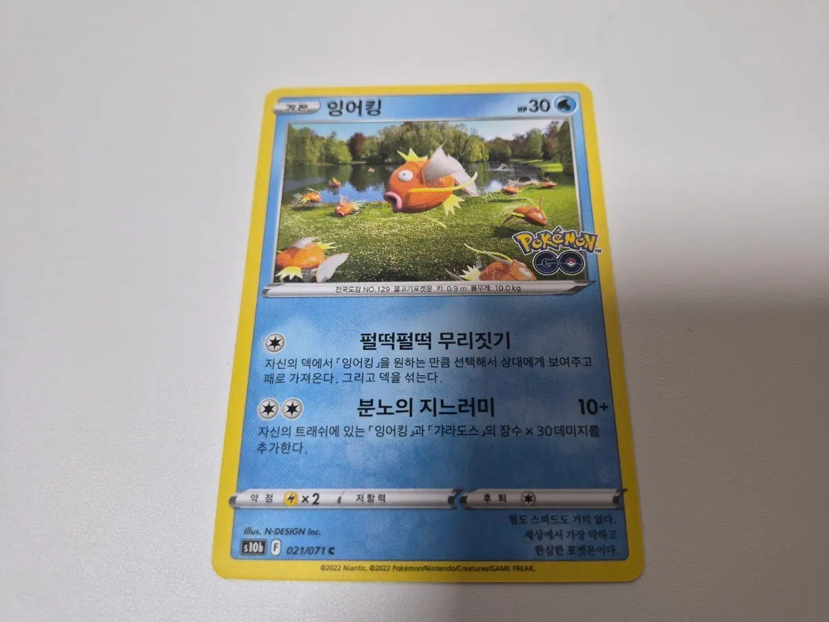 포켓몬 카드 잉어킹 GO