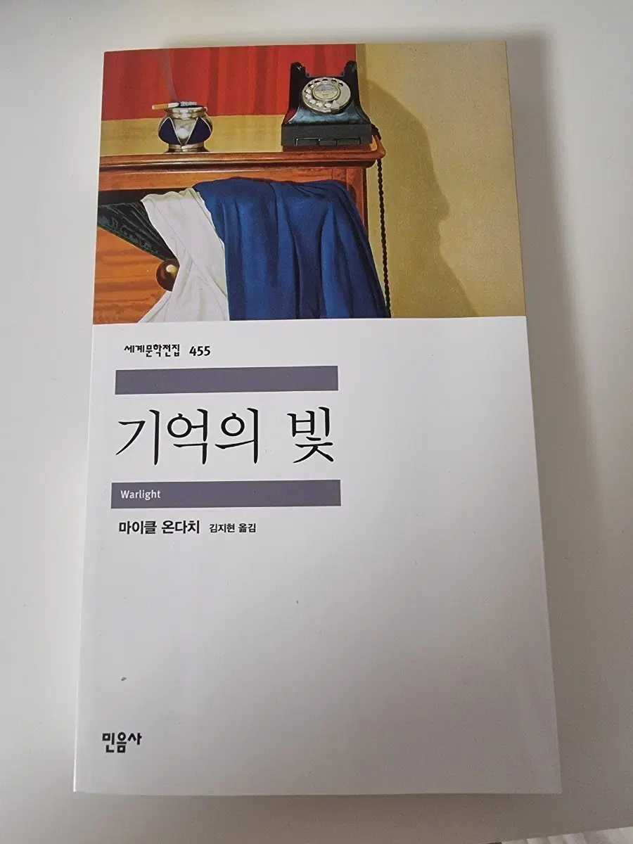 마이클 온다치 기억의 빛 민음사