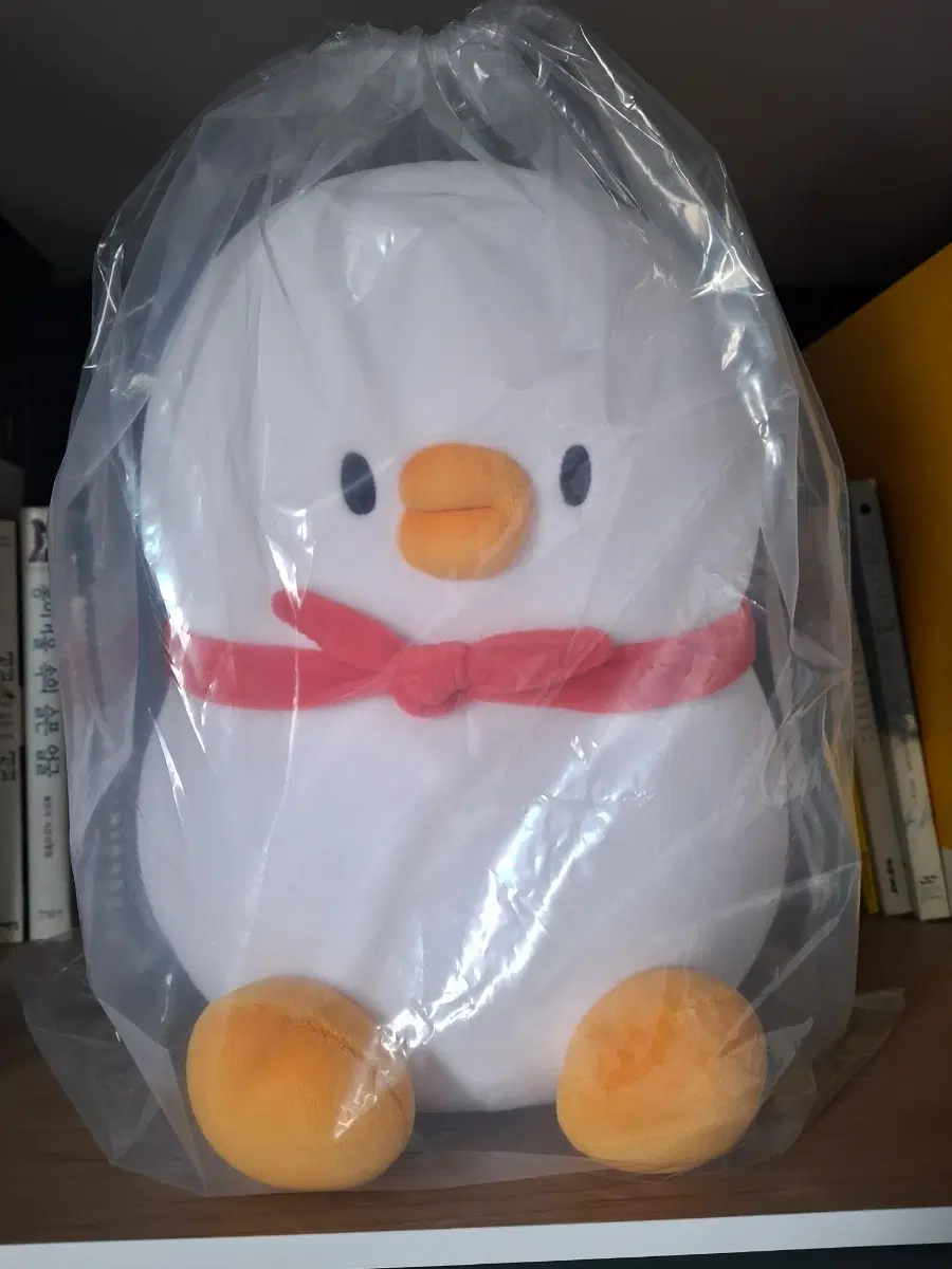 귀여워서 올려봐여