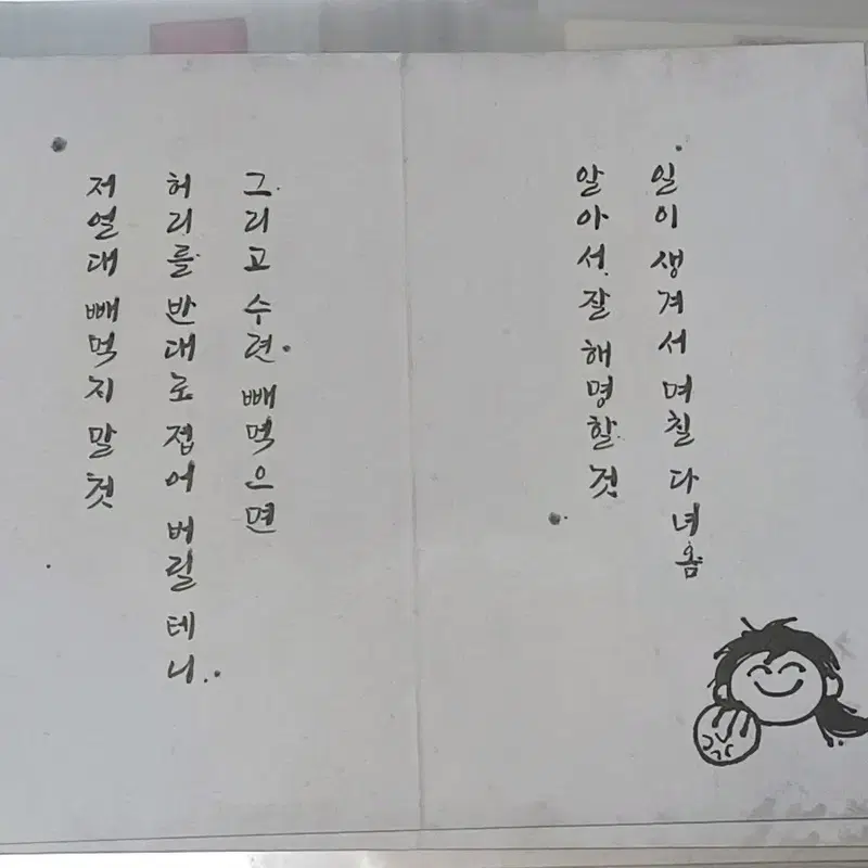 최저가)화산귀환 특전 청명이 편지