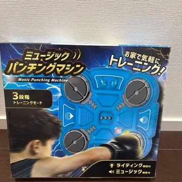 뮤직 펀칭 머신 트레이닝 펀치 머신 복싱