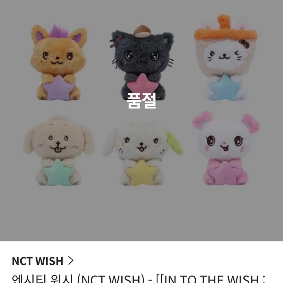 엔시티위시 인투더위시 아워위시 앙콘 엠디 별위시돌 리쿠 판매