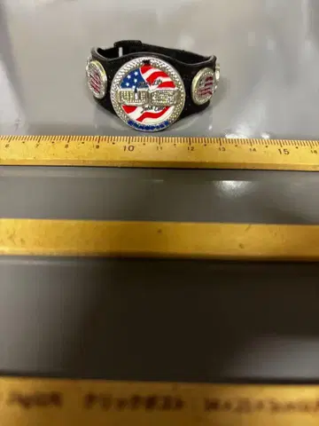 WWE 잭스 US 챔피언 벨트 존 시나