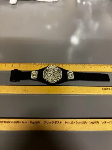 WWE TNA 챔피언 벨트 라스트입니다!