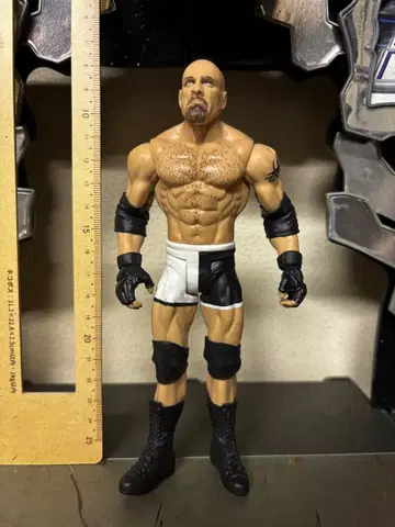 WWE 마텔 베이직 Goldberg 골드버그