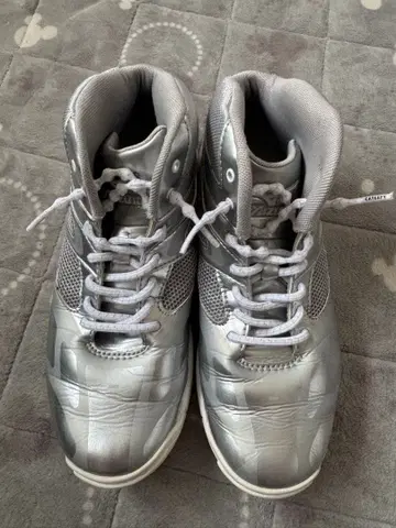 MIZUNO 웨이브 다이버즈 실버 24.5cm