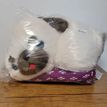 콩시바 삼형제 좌식 쿠션에서 느긋하게 울트라 BIG 퍼그베