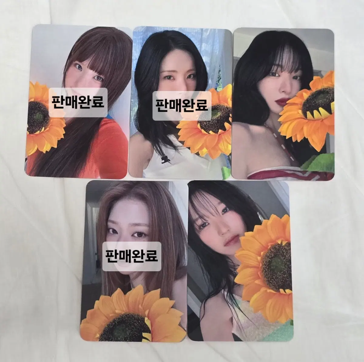 [판매] 프로미스나인 정규2집 비트로드 예구특전 포카세트  개별가능