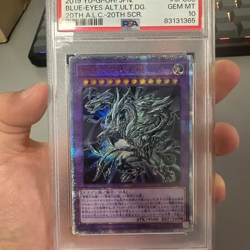 유희왕 궁극의 푸른눈의 아룡 20th PSA10
