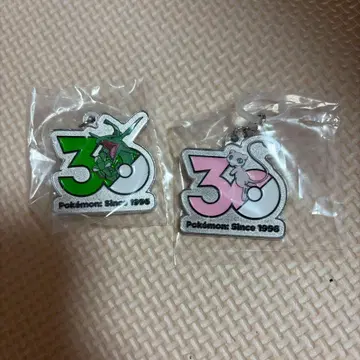 포켓몬 30주년 메탈 참