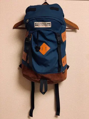 WILDERNESS EXPERIENCE 백팩 블루