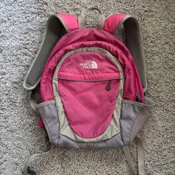 THE NORTH FACE Small Day Pack 핑크