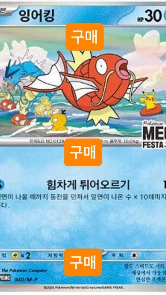 [매입,2장이상매입] 잉어킹 프로모 미개봉 구매해요