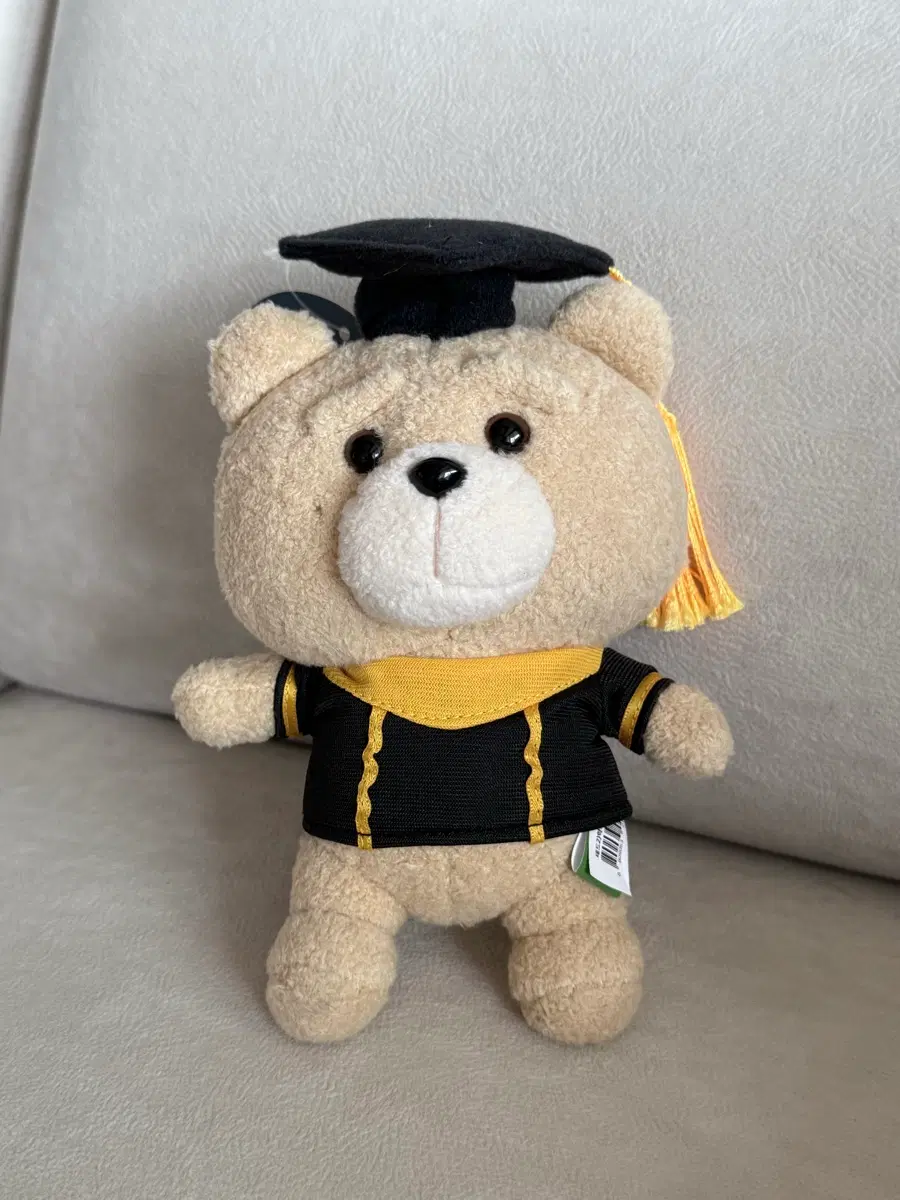 테드 학사모 키링 인형