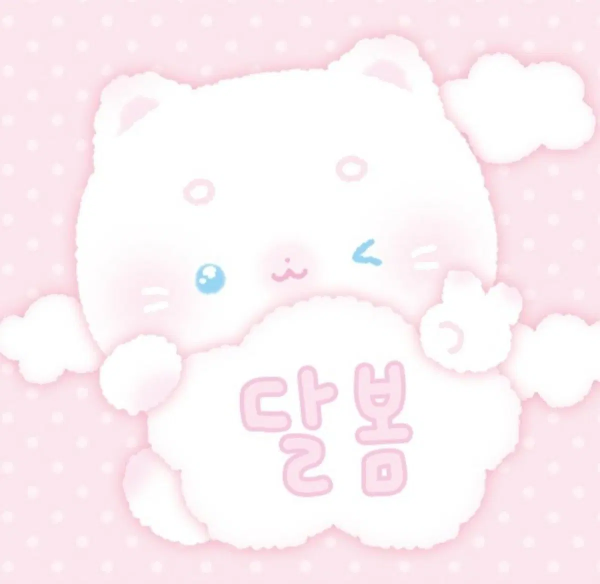 랩핑지 특판 10셋+랩핑지 믹스 1셋