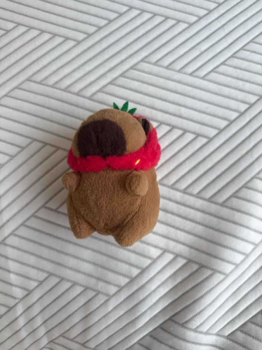 딸기모자 카피바라 카카오톡 선물하기 인형 키링 판매합니다
