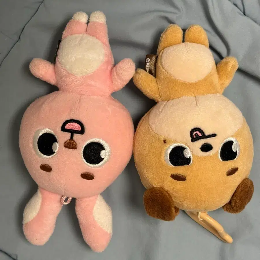22돈 22필끼 데니멀즈 데이식스 일괄 양도