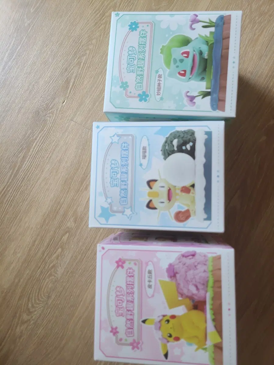 포켓몬 자연 야생 컬렉션 피규어